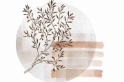 【重磅整理】每日大赛在线免费观看直播流量趋势总结，热度不减
