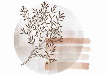 鉴黄师实用手册全景复盘：历史沿革一图读懂