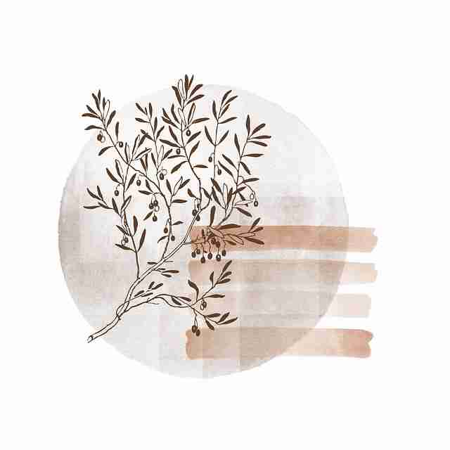 鉴黄师实用手册全景复盘:历史沿革一图读懂